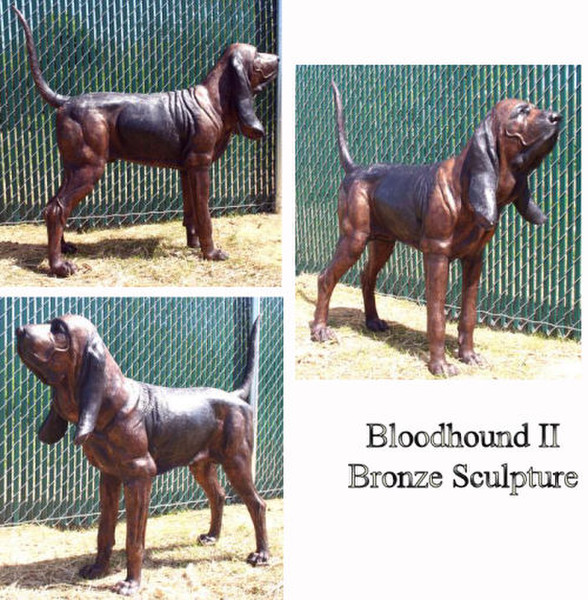 Life size bronze bloodhound standing at attention with tail raised